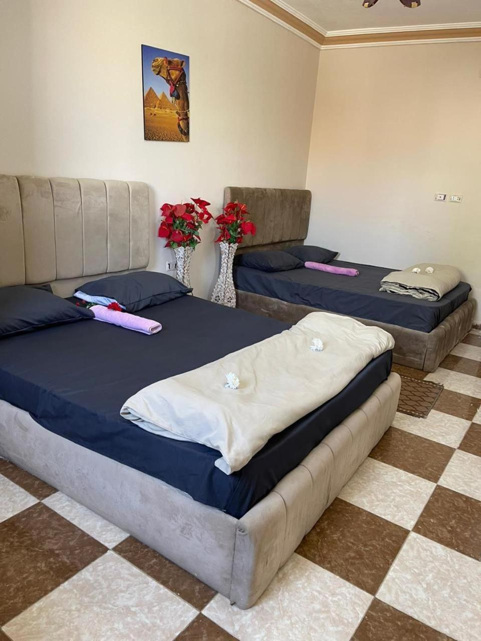 Pyramid Stars Inn Nazlet el-Sisi Екстер'єр фото